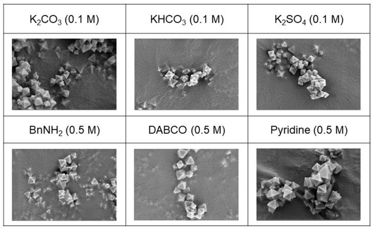 https://cdn.ncbi.nlm.nih.gov/pmc/blobs/6ee2/10780619/92cff457a150/nanomaterials-14-00110-g008.jpg