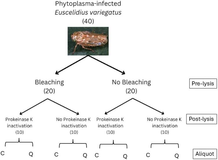 https://cdn.ncbi.nlm.nih.gov/pmc/blobs/6ee2/12132034/1a4d1abd900c/ieaf062_fig1.jpg