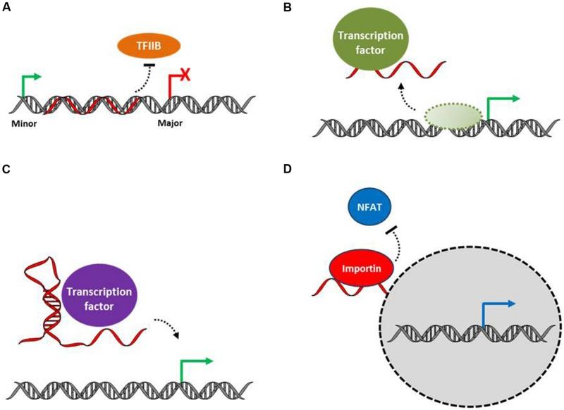 https://cdn.ncbi.nlm.nih.gov/pmc/blobs/6ee2/4413816/c3a31ca0e10f/fgene-06-00165-g002.jpg