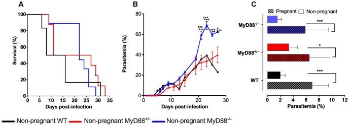 https://cdn.ncbi.nlm.nih.gov/pmc/blobs/6ee3/6362412/e0a078160c1d/fmicb-10-00068-g002.jpg