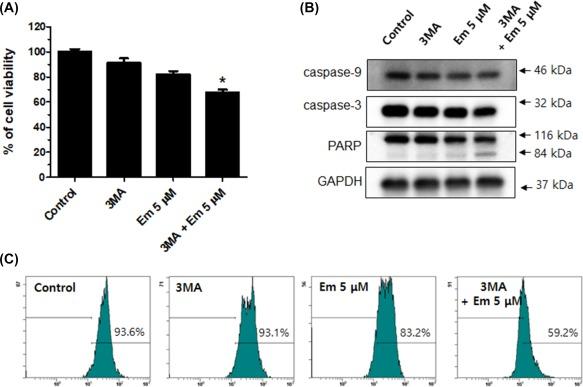 https://cdn.ncbi.nlm.nih.gov/pmc/blobs/6ee3/6472881/435415cdc543/TOX-32-2371-g006.jpg