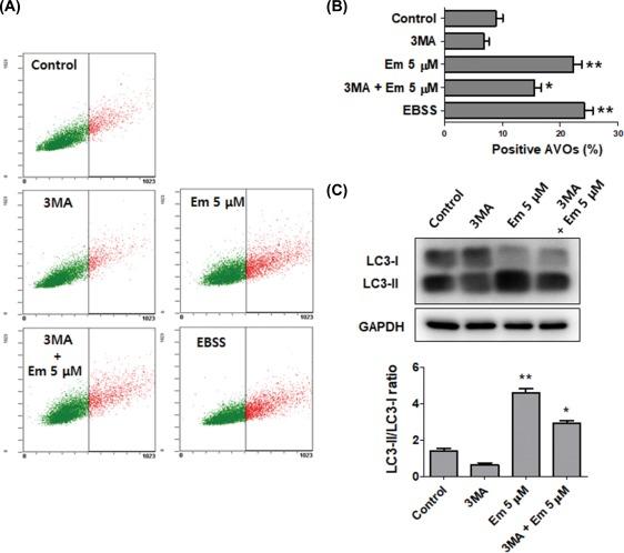 https://cdn.ncbi.nlm.nih.gov/pmc/blobs/6ee3/6472881/f1174814bc95/TOX-32-2371-g005.jpg