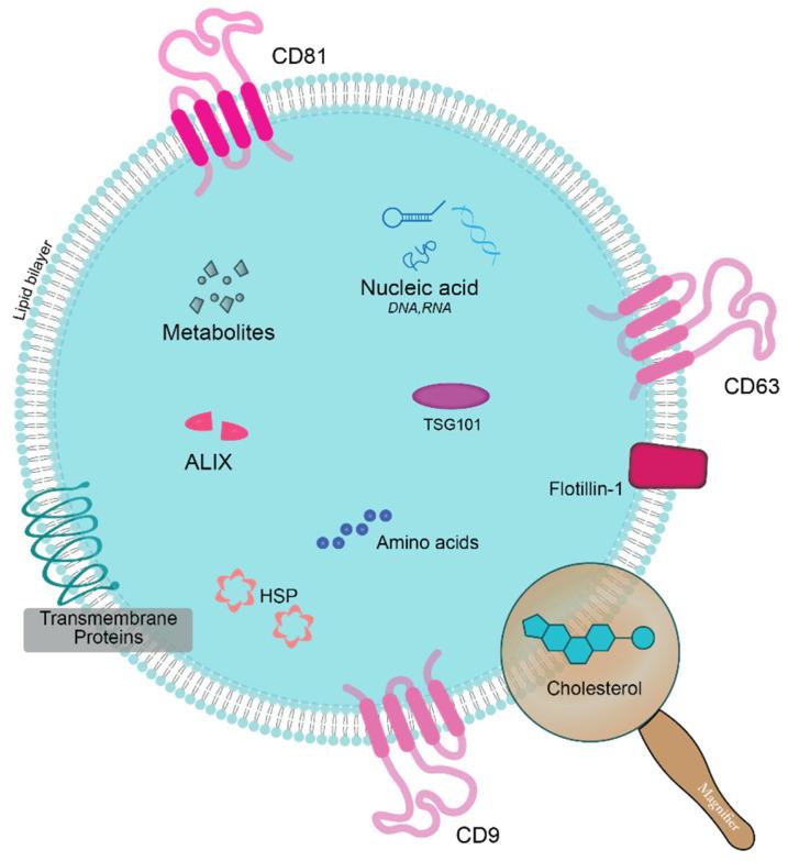 https://cdn.ncbi.nlm.nih.gov/pmc/blobs/6ee5/12250058/8fc4d7a3f891/ijms-26-06352-g003.jpg