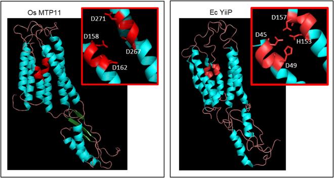 https://cdn.ncbi.nlm.nih.gov/pmc/blobs/6ee5/5681648/8054801ef50d/41598_2017_15324_Fig7_HTML.jpg