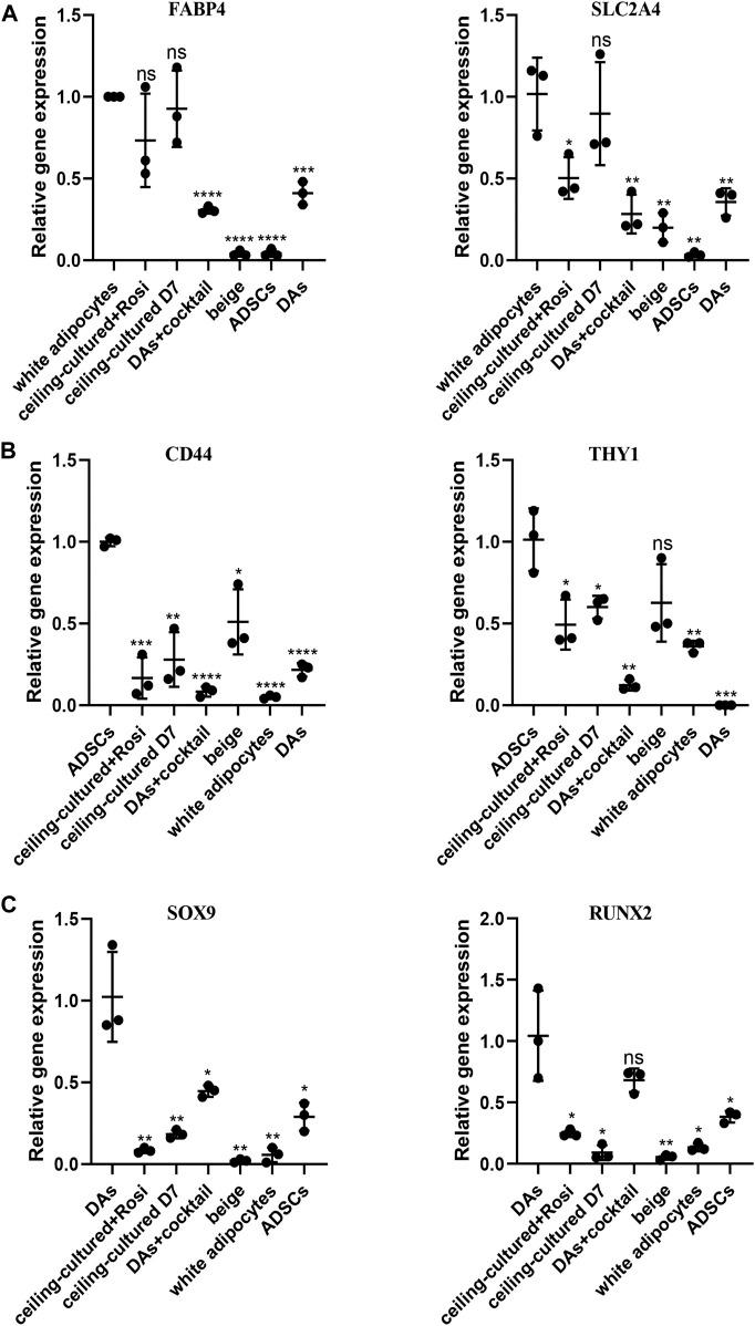 https://cdn.ncbi.nlm.nih.gov/pmc/blobs/6ee5/9420896/09a95c287ca0/fbioe-10-905194-g005.jpg