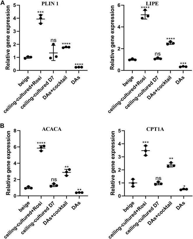 https://cdn.ncbi.nlm.nih.gov/pmc/blobs/6ee5/9420896/8fa80ffcf115/fbioe-10-905194-g004.jpg