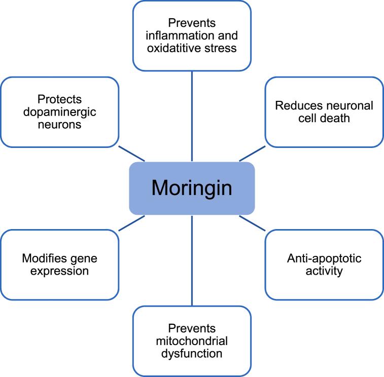https://cdn.ncbi.nlm.nih.gov/pmc/blobs/6ee6/10944276/c2d623a7c9e7/gr3.jpg
