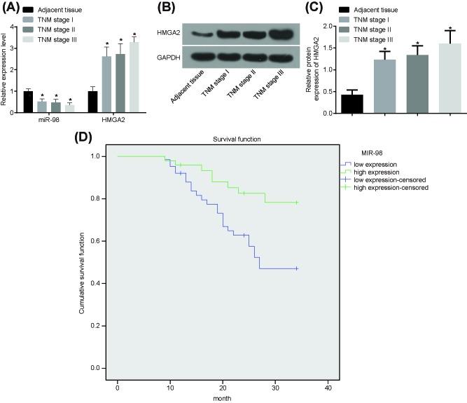 https://cdn.ncbi.nlm.nih.gov/pmc/blobs/6ee6/6146293/3ae46eef94c4/bsr-38-bsr20180571-g2.jpg