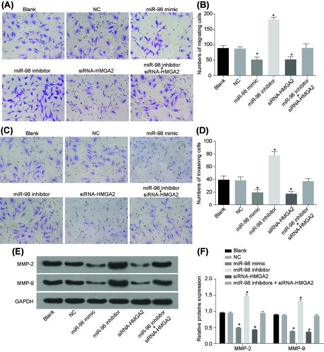 https://cdn.ncbi.nlm.nih.gov/pmc/blobs/6ee6/6146293/7272ffa3a47b/bsr-38-bsr20180571-g7.jpg