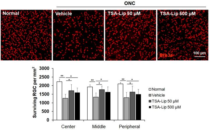 https://cdn.ncbi.nlm.nih.gov/pmc/blobs/6ee6/7730870/551f6c395ba2/ijms-21-09297-g008.jpg