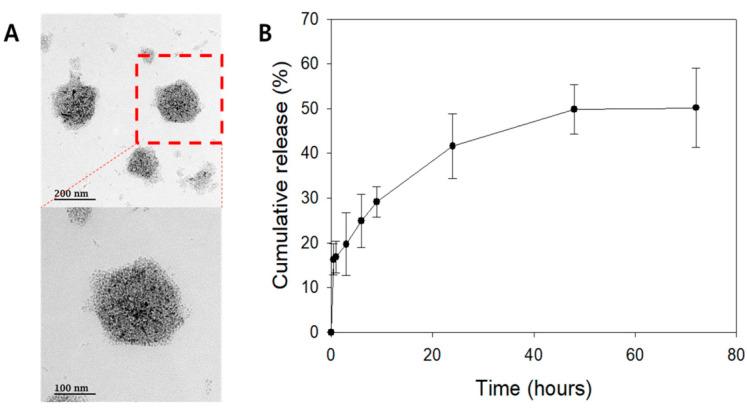 https://cdn.ncbi.nlm.nih.gov/pmc/blobs/6ee6/7730870/d7106be5ac08/ijms-21-09297-g003.jpg