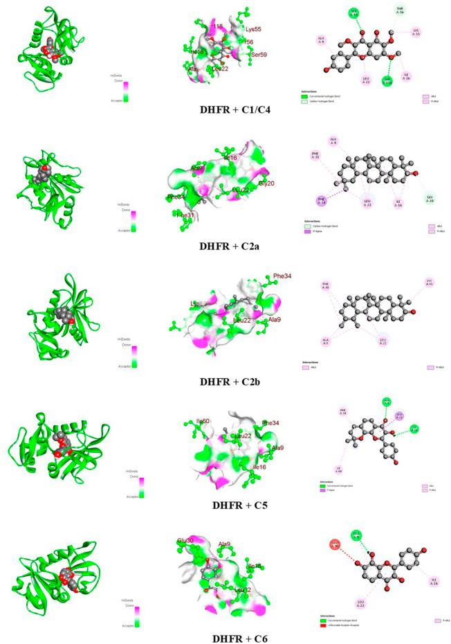 https://cdn.ncbi.nlm.nih.gov/pmc/blobs/6ee8/11652197/2a0ec0cf8f17/fphar-15-1474706-g009.jpg