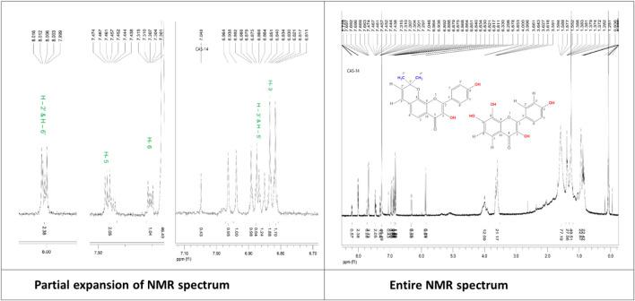 https://cdn.ncbi.nlm.nih.gov/pmc/blobs/6ee8/11652197/9f8ccbb9a34d/fphar-15-1474706-g008.jpg