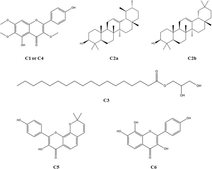 https://cdn.ncbi.nlm.nih.gov/pmc/blobs/6ee8/11652197/d02d7703a745/fphar-15-1474706-g003.jpg