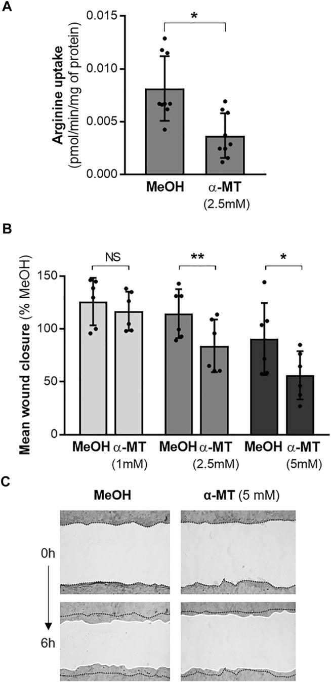 https://cdn.ncbi.nlm.nih.gov/pmc/blobs/6ee8/8965518/56419de1d29b/fmolb-09-850261-g002.jpg