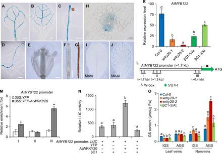 https://cdn.ncbi.nlm.nih.gov/pmc/blobs/6ee9/6703867/b5867465326a/aav9801-F4.jpg
