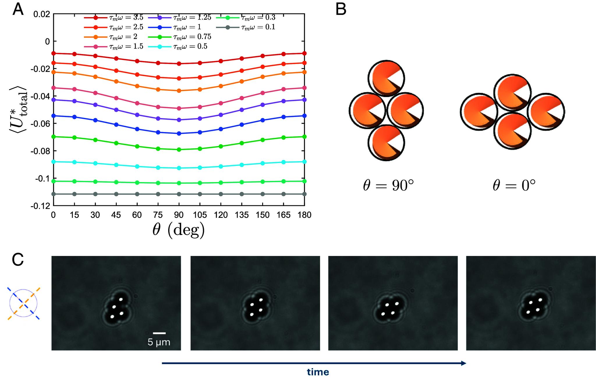 https://cdn.ncbi.nlm.nih.gov/pmc/blobs/6eec/11474040/e330c98c1316/pnas.2404145121fig05.jpg