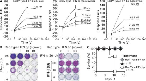 https://cdn.ncbi.nlm.nih.gov/pmc/blobs/6eec/2292233/4b193b1cc4ef/jem2050981f04.jpg