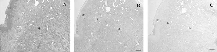 https://cdn.ncbi.nlm.nih.gov/pmc/blobs/6eec/3982811/0b7e997a0463/jvms-76-197-g002.jpg