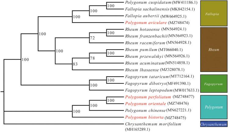 https://cdn.ncbi.nlm.nih.gov/pmc/blobs/6eec/9084321/9293a08036dc/fgene-13-764534-g007.jpg