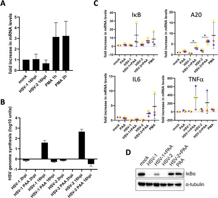 https://cdn.ncbi.nlm.nih.gov/pmc/blobs/6eed/10434116/601ea40e0926/spectrum.01421-23-f004.jpg