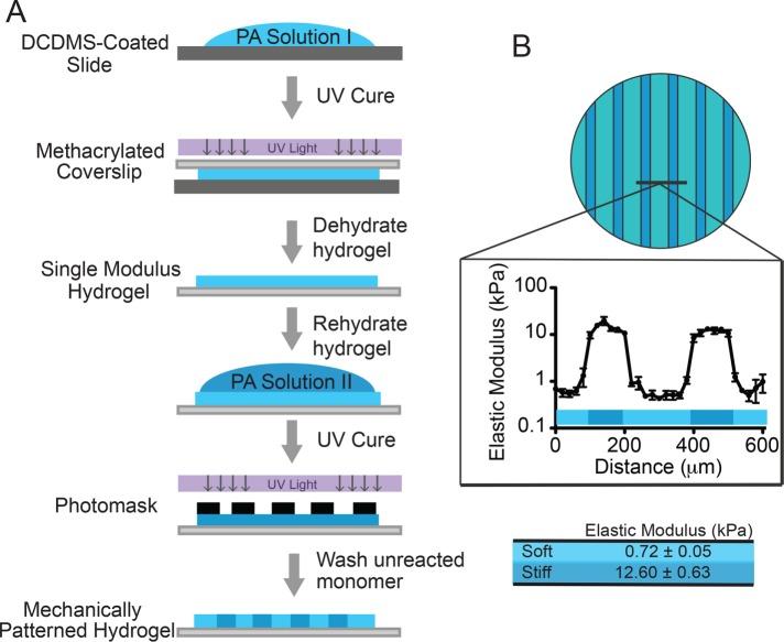 https://cdn.ncbi.nlm.nih.gov/pmc/blobs/6eee/5541845/18fa455fbfcc/1950fig1.jpg