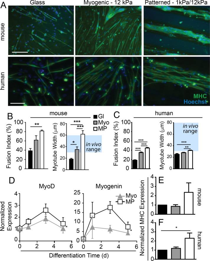 https://cdn.ncbi.nlm.nih.gov/pmc/blobs/6eee/5541845/4d8785cc1b76/1950fig3.jpg