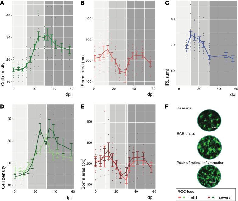 https://cdn.ncbi.nlm.nih.gov/pmc/blobs/6eee/8262300/18d85f374c71/jciinsight-6-149228-g204.jpg