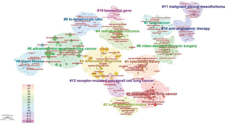 https://cdn.ncbi.nlm.nih.gov/pmc/blobs/6eef/11736581/e18eef46bd19/tlcr-13-12-3764-f7.jpg