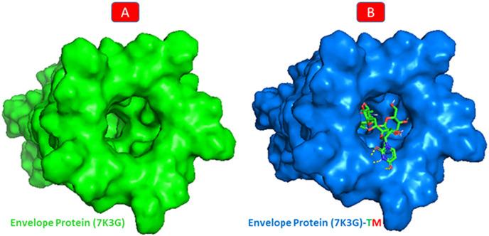 https://cdn.ncbi.nlm.nih.gov/pmc/blobs/6ef0/9633632/825a0065f53e/gr10_lrg.jpg