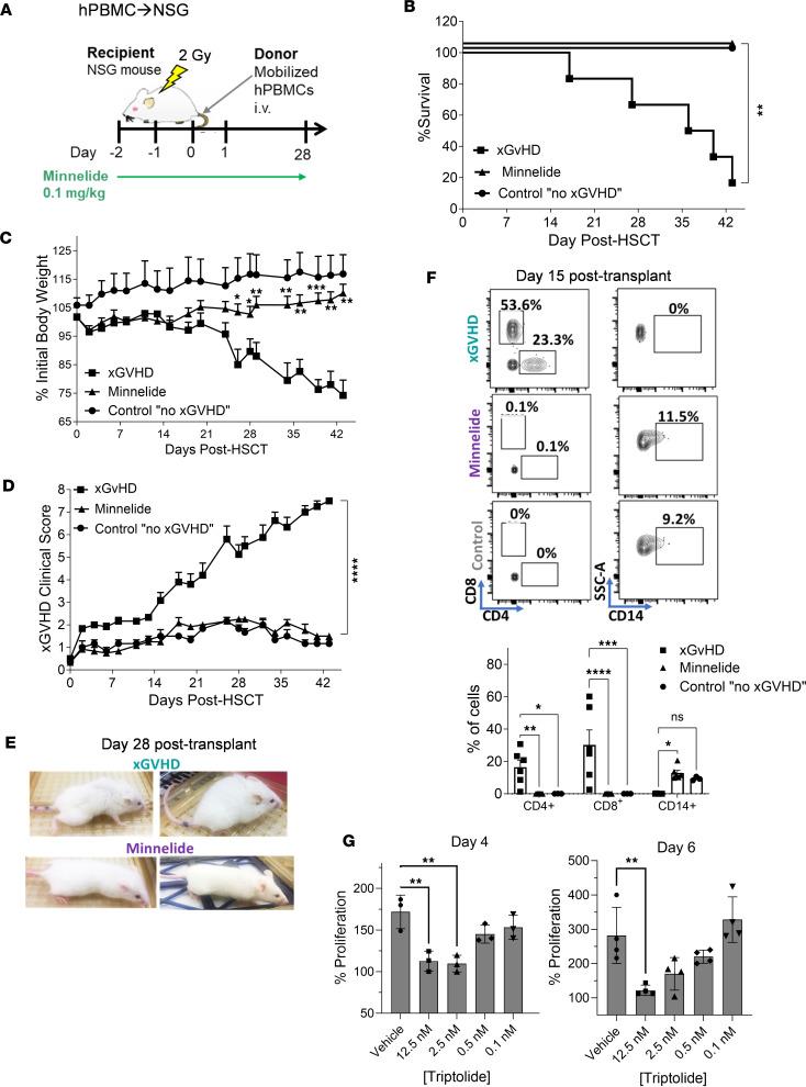 https://cdn.ncbi.nlm.nih.gov/pmc/blobs/6ef3/11141936/374faa68ece8/jciinsight-9-165936-g226.jpg