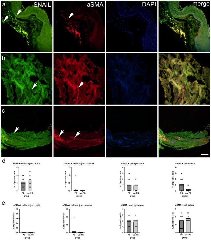 https://cdn.ncbi.nlm.nih.gov/pmc/blobs/6ef5/11640873/adbe99302cb2/ijms-25-12618-g003.jpg