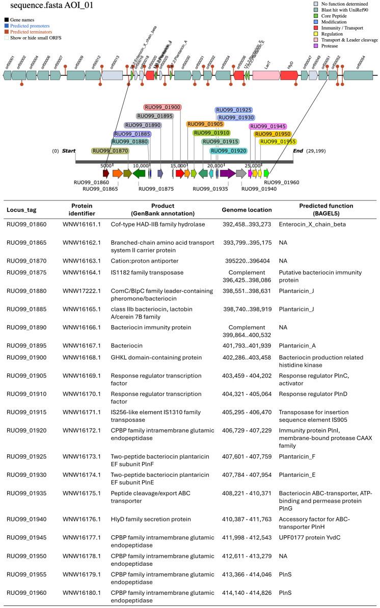 https://cdn.ncbi.nlm.nih.gov/pmc/blobs/6efb/11356911/d795bf414bd4/microorganisms-12-01652-g002.jpg