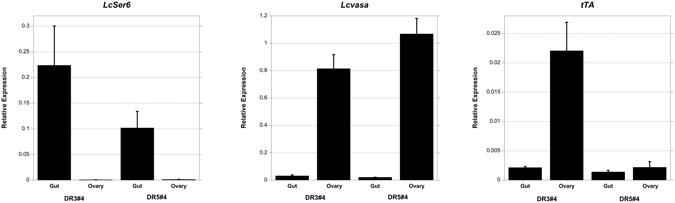 https://cdn.ncbi.nlm.nih.gov/pmc/blobs/6efb/5451413/c7f347fff17c/41598_2017_2763_Fig7_HTML.jpg