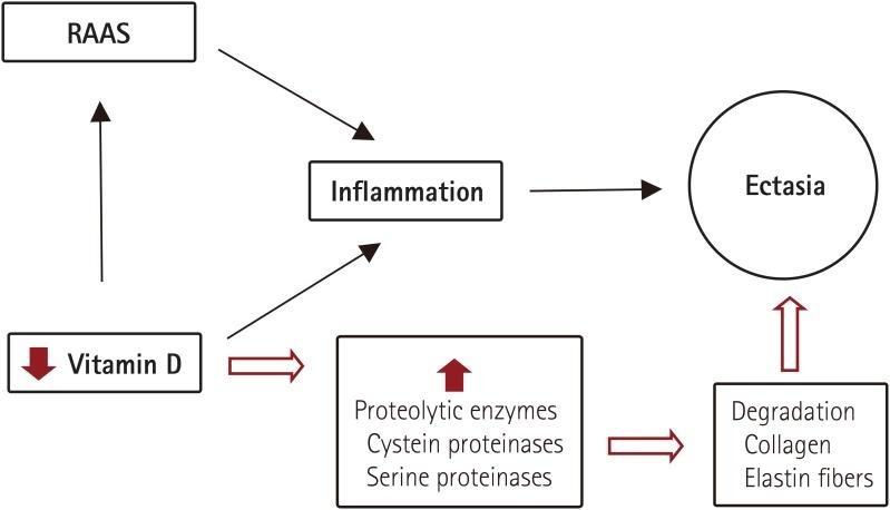 https://cdn.ncbi.nlm.nih.gov/pmc/blobs/6efc/5378030/b931c8db959e/kcj-47-231-g003.jpg