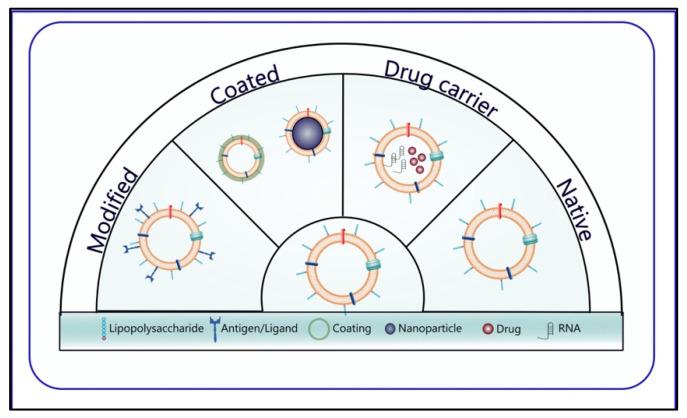 https://cdn.ncbi.nlm.nih.gov/pmc/blobs/6eff/10142793/349226fcddaa/pharmaceutics-15-01052-g004.jpg