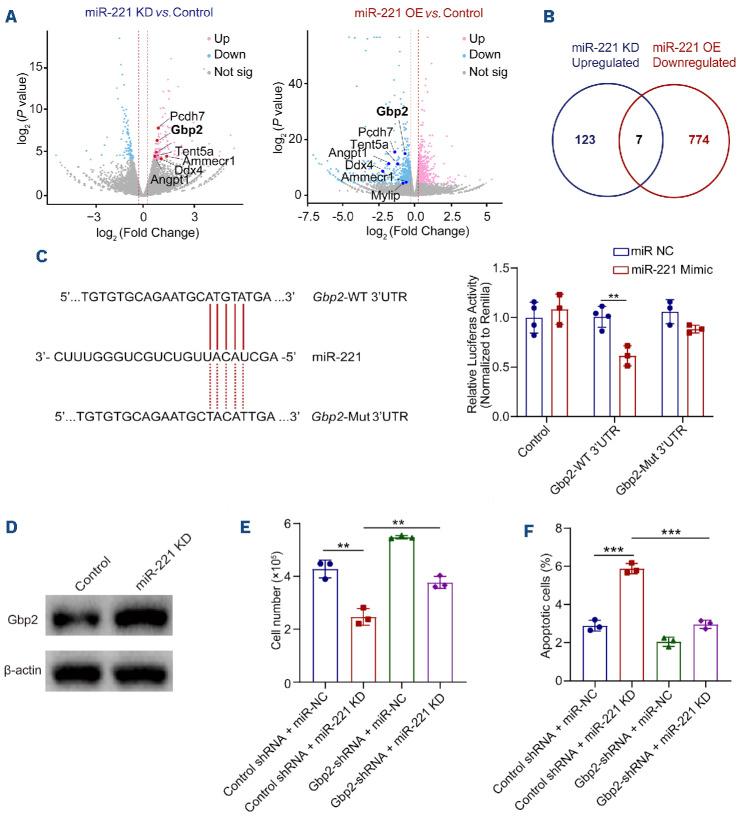 https://cdn.ncbi.nlm.nih.gov/pmc/blobs/6eff/11443396/79016bd3a8b6/1093209.fig6.jpg