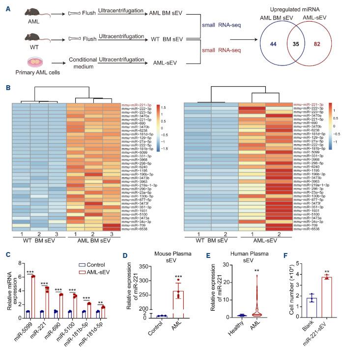 https://cdn.ncbi.nlm.nih.gov/pmc/blobs/6eff/11443396/dd301eba50f8/1093209.fig2.jpg