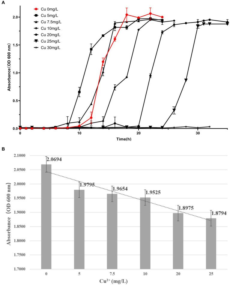 https://cdn.ncbi.nlm.nih.gov/pmc/blobs/6eff/11449754/0f9ae30553b2/fmicb-15-1378180-g010.jpg