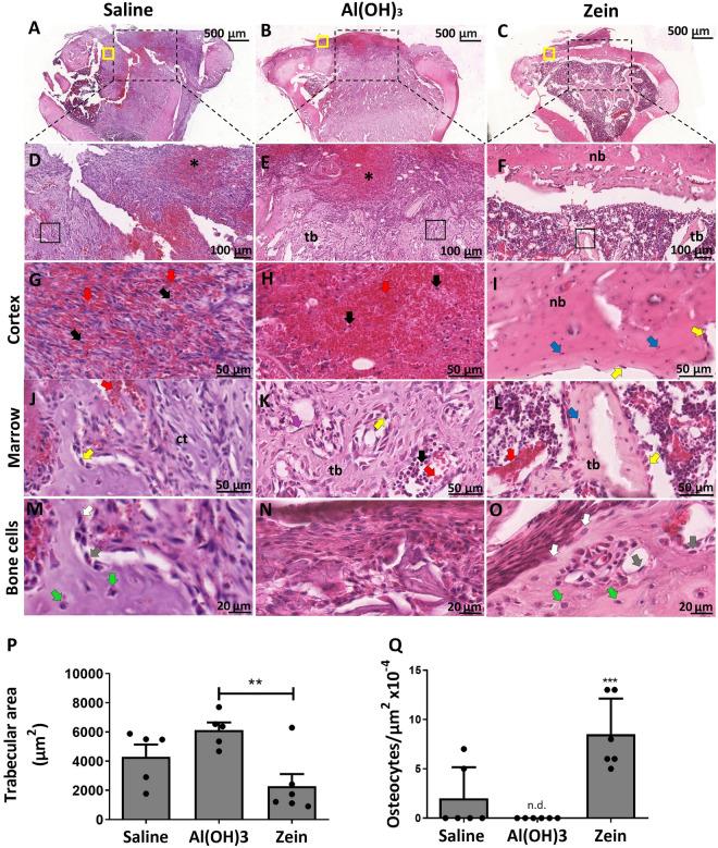 https://cdn.ncbi.nlm.nih.gov/pmc/blobs/6f00/10113372/b7deb8412965/41598_2023_33591_Fig2_HTML.jpg