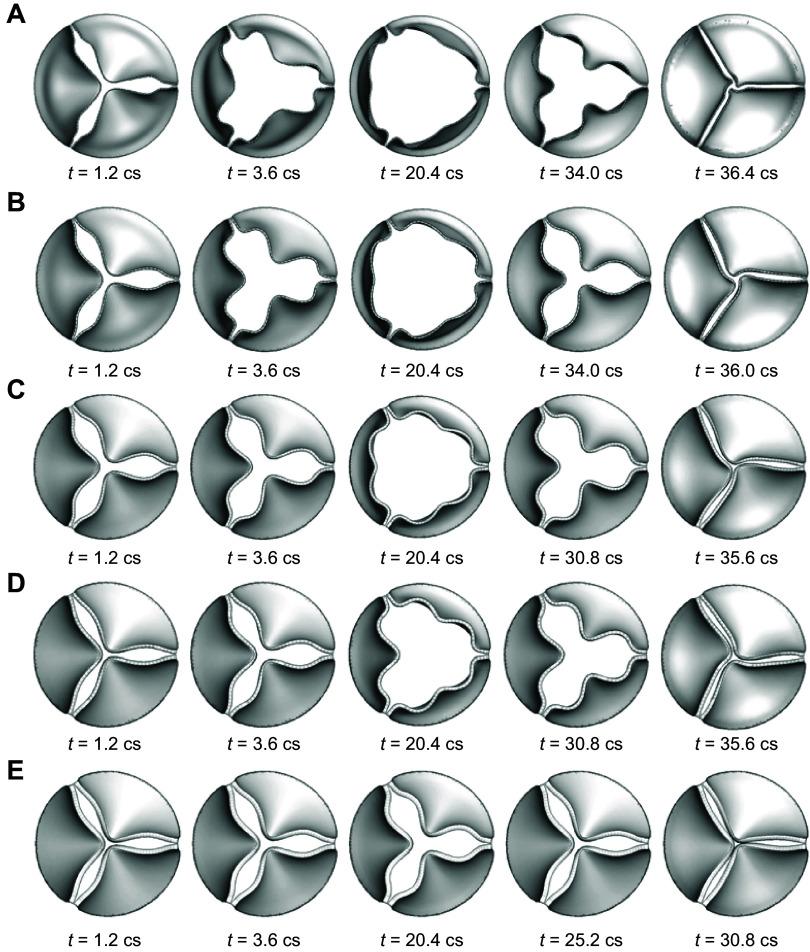 https://cdn.ncbi.nlm.nih.gov/pmc/blobs/6f00/11495199/3d0f5767b38c/physrev.00038.2022_f004.jpg