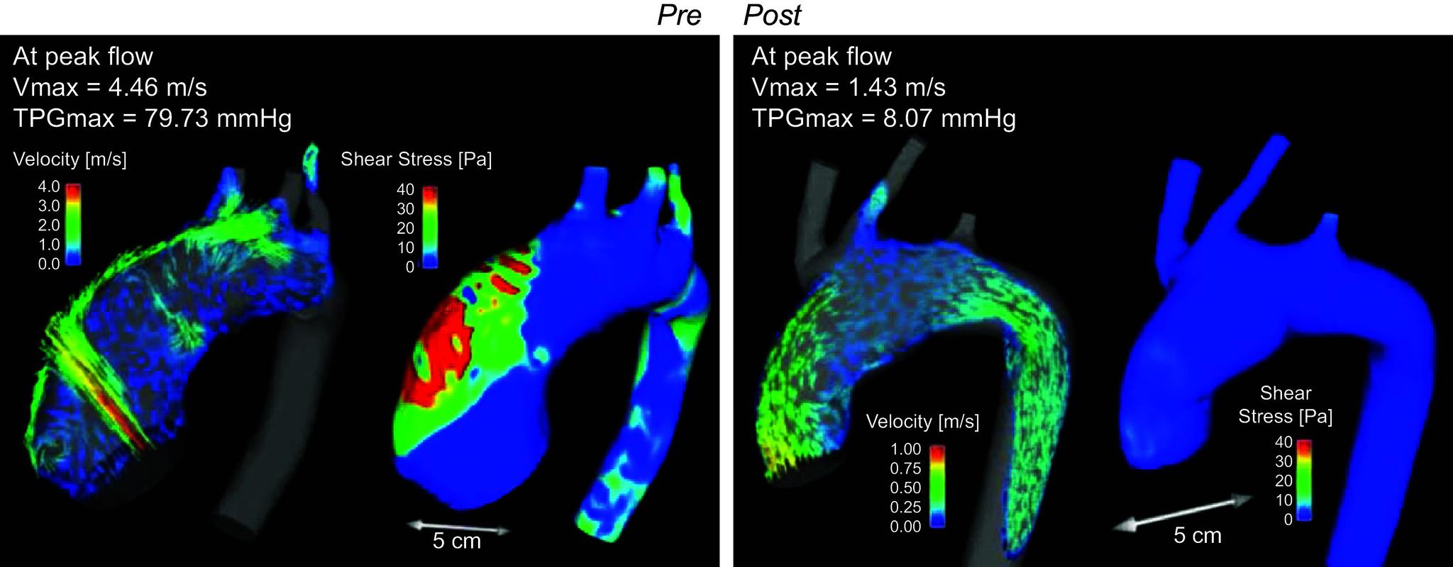 https://cdn.ncbi.nlm.nih.gov/pmc/blobs/6f00/11495199/3d3f89dfb284/physrev.00038.2022_f036.jpg