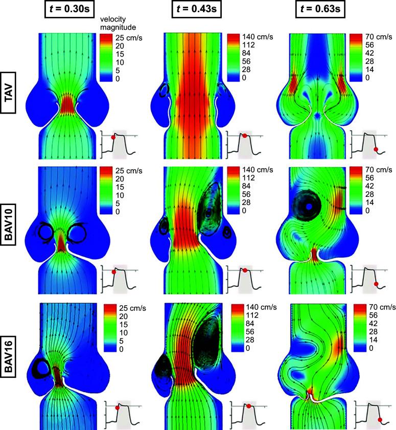 https://cdn.ncbi.nlm.nih.gov/pmc/blobs/6f00/11495199/7e98340b1bff/physrev.00038.2022_f034.jpg