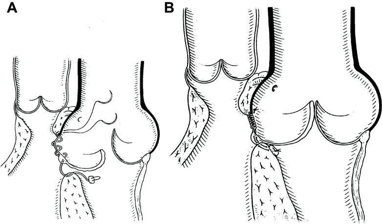 https://cdn.ncbi.nlm.nih.gov/pmc/blobs/6f00/11495199/95fa0fd198f3/physrev.00038.2022_f039.jpg