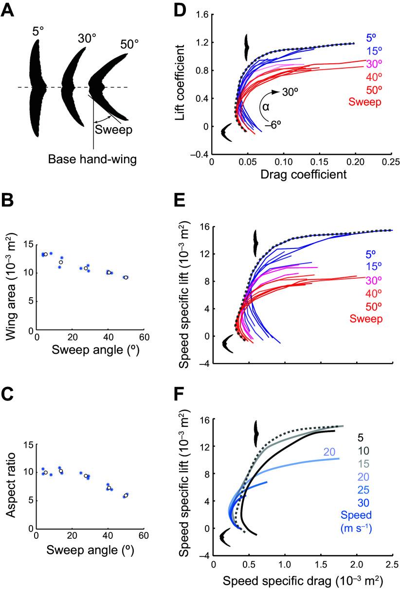 https://cdn.ncbi.nlm.nih.gov/pmc/blobs/6f00/11495199/a43a64b1036b/physrev.00038.2022_f011.jpg