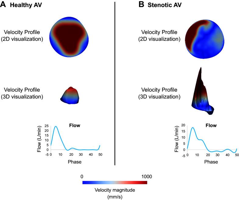 https://cdn.ncbi.nlm.nih.gov/pmc/blobs/6f00/11495199/a906aecc631c/physrev.00038.2022_f006.jpg