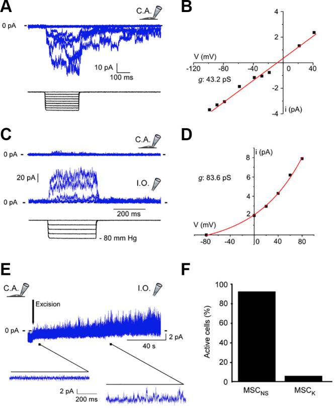 https://cdn.ncbi.nlm.nih.gov/pmc/blobs/6f00/11495199/abf2149e5240/physrev.00038.2022_f013.jpg