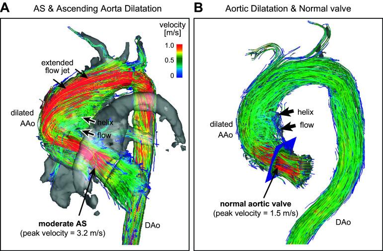 https://cdn.ncbi.nlm.nih.gov/pmc/blobs/6f00/11495199/cfd6fd4697c2/physrev.00038.2022_f028.jpg