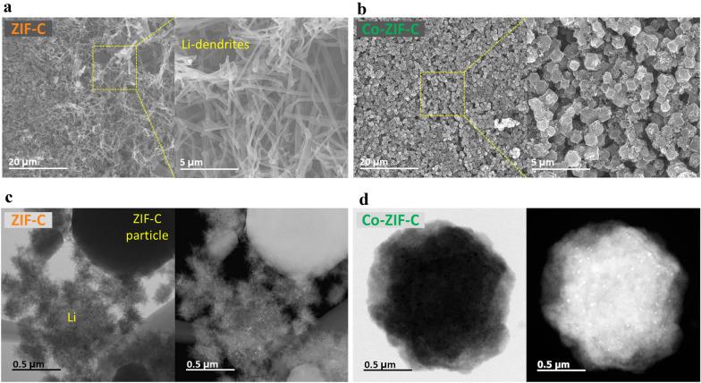 https://cdn.ncbi.nlm.nih.gov/pmc/blobs/6f01/8200894/93bce0f5099f/40580_2021_269_Fig3_HTML.jpg
