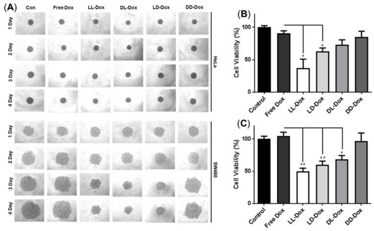 https://cdn.ncbi.nlm.nih.gov/pmc/blobs/6f01/8779831/0c059fdfb97b/pharmaceutics-14-00143-g009.jpg